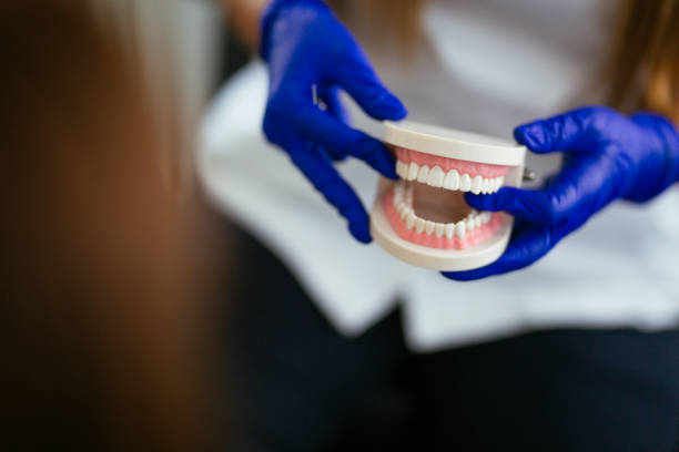 Best Dental Exams and Cleanings  in Tarpon Springs, FL