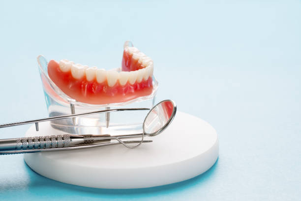 Best Wisdom Tooth Removal  in Tarpon Springs, FL